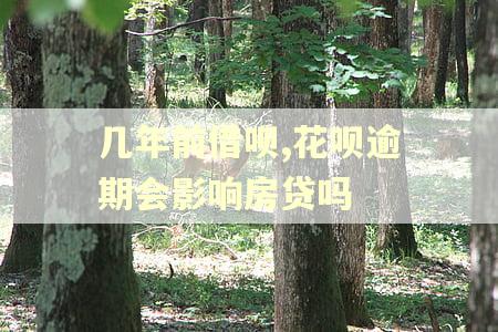 几年前借呗,花呗逾期会影响房贷吗