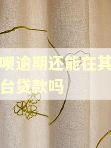 花呗逾期还能在其他平台贷款吗