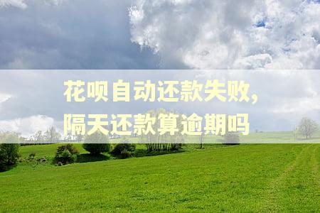 花呗自动还款失败,隔天还款算逾期吗