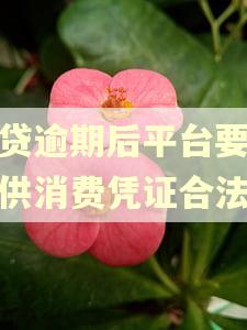 网贷逾期后平台要求提供消费凭证合法吗