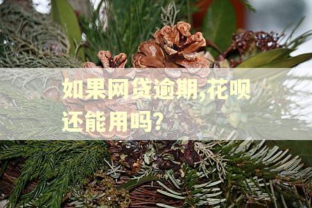 如果网贷逾期,花呗还能用吗？