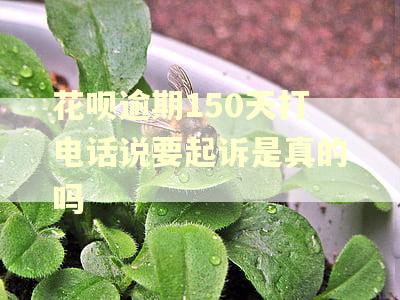 花呗逾期150天打电话说要起诉是真的吗