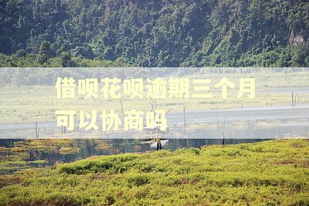 借呗花呗逾期三个月可以协商吗