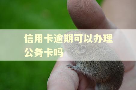信用卡逾期可以办理公务卡吗