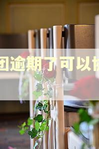 美团逾期了可以协商吗