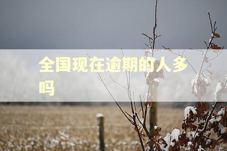 全国现在逾期的人多吗