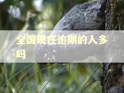 全国现在逾期的人多吗