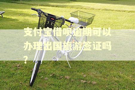支付宝借呗逾期可以办理出国旅游签证吗?