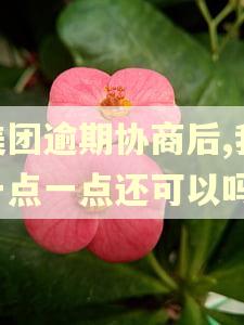美团逾期协商后,我一点一点还可以吗?