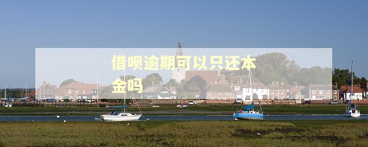 借呗逾期可以只还本金吗