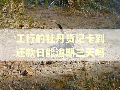 工行的牡丹货记卡到还款日能逾期三天吗