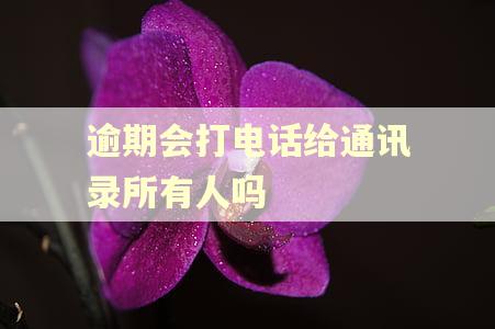 逾期会打电话给通讯录所有人吗