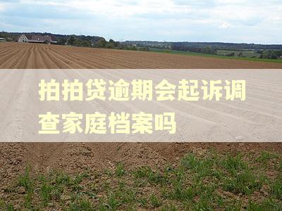 拍拍贷逾期会起诉调查家庭档案吗
