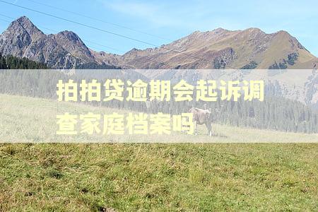 拍拍贷逾期会起诉调查家庭档案吗