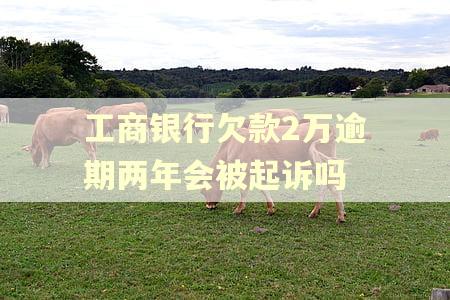 工商银行欠款2万逾期两年会被起诉吗