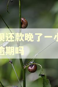 借呗还款晚了一小时算逾期吗