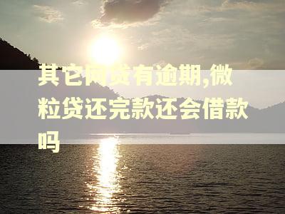 其它网贷有逾期,微粒贷还完款还会借款吗