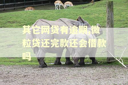 其它网贷有逾期,微粒贷还完款还会借款吗