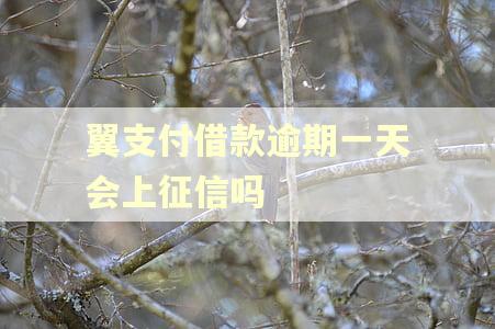 翼支付借款逾期一天会上征信吗