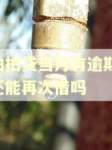 拍拍贷当月有逾期,还能再次借吗