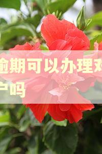 有逾期可以办理对公账户吗