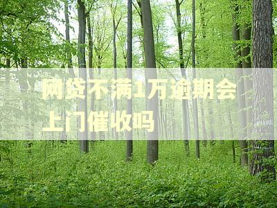 网贷不满1万逾期会上门催收吗 网贷不满1万逾期会上门催收吗