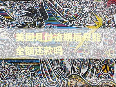 美团月付逾期后只能全额还款吗