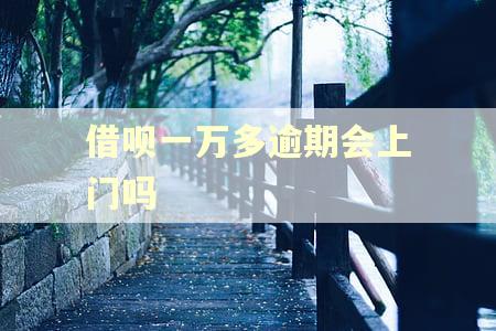 借呗一万多逾期会上门吗