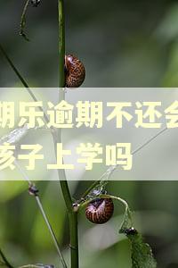 分期乐逾期不还会影响孩子上学吗 分期乐逾期不还会影响孩子上学吗