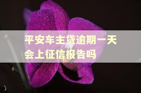 平安车主贷逾期一天会上征信报告吗