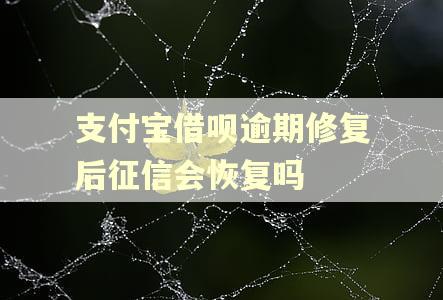 支付宝借呗逾期修复后征信会恢复吗