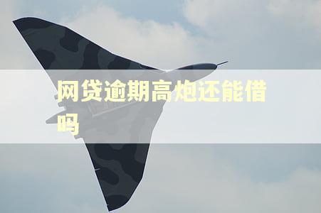 网贷逾期高炮还能借吗