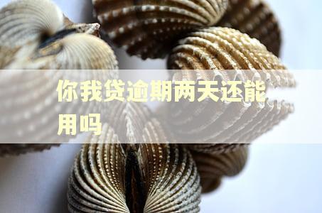 你我贷逾期两天还能用吗