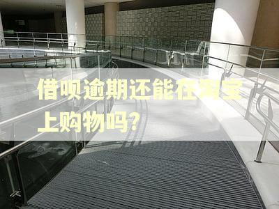 借呗逾期还能在淘宝上购物吗?