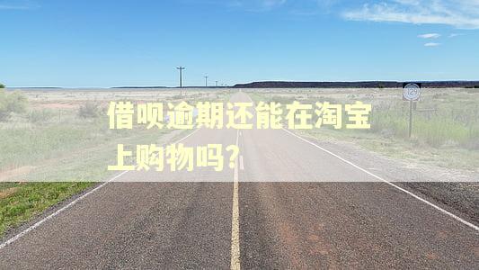 借呗逾期还能在淘宝上购物吗?