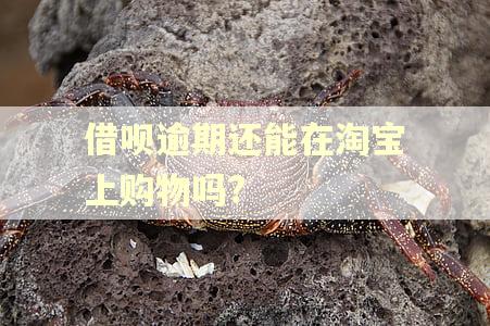 借呗逾期还能在淘宝上购物吗? 借呗逾期还能在淘宝上购物吗?