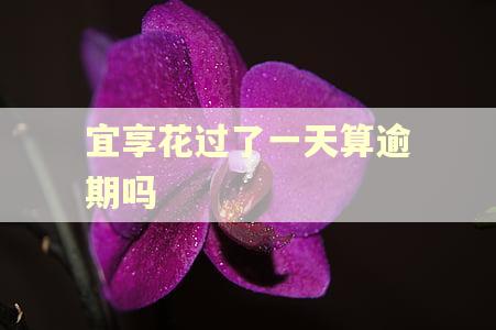 宜享花过了一天算逾期吗