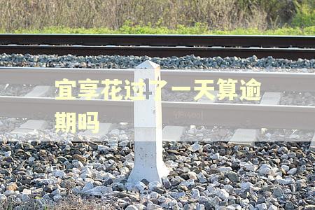 宜享花过了一天算逾期吗