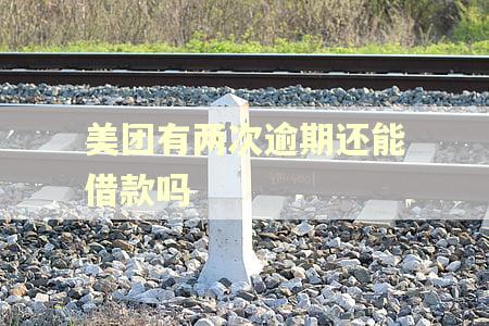 美团有两次逾期还能借款吗
