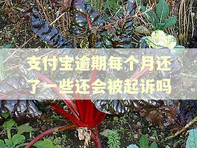 支付宝逾期每个月还了一些还会被起诉吗