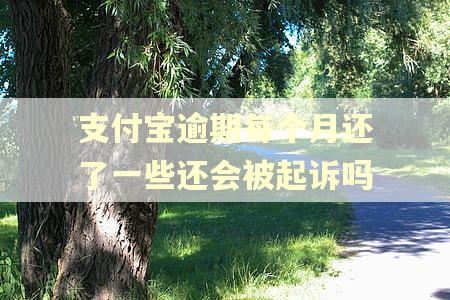 支付宝逾期每个月还了一些还会被起诉吗