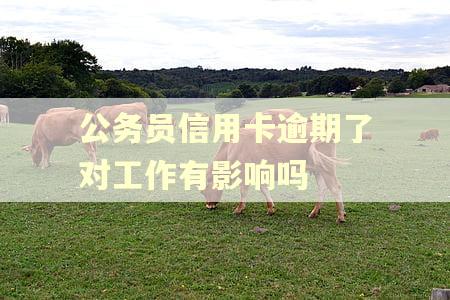 公务员信用卡逾期了对工作有影响吗