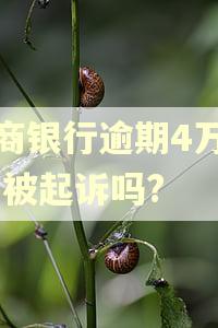 招商银行逾期4万元,会被起诉吗?