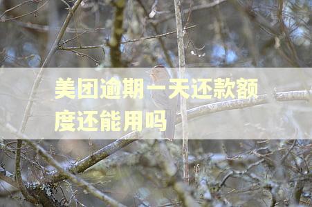 美团逾期一天还款额度还能用吗