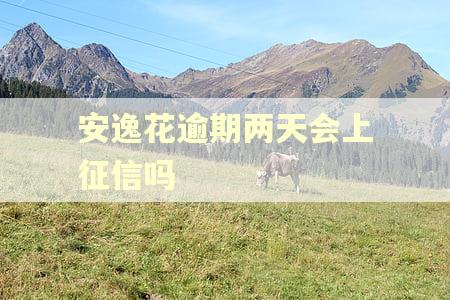 安逸花逾期两天会上征信吗