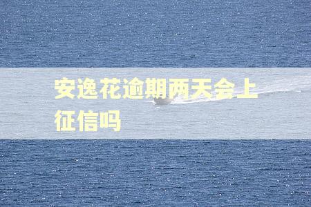 安逸花逾期两天会上征信吗 安逸花逾期两天会上征信吗