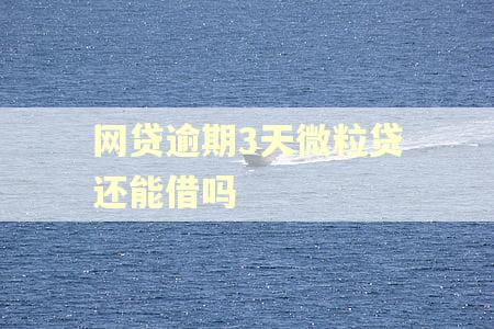 网贷逾期3天微粒贷还能借吗