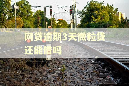 网贷逾期3天微粒贷还能借吗