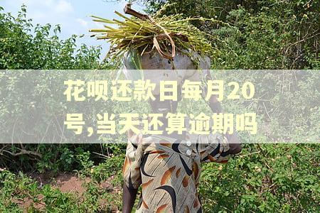 花呗还款日每月20号,当天还算逾期吗