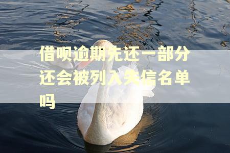 借呗逾期先还一部分还会被列入失信名单吗 借呗逾期先还一部分还会被列入失信名单吗